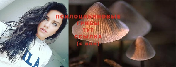 мескалин Вяземский