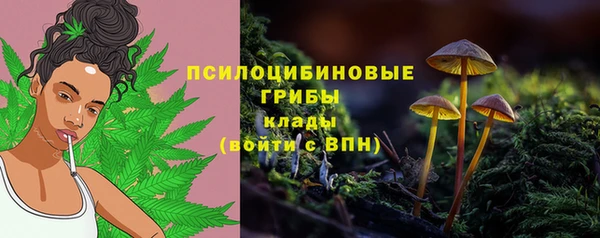 мескалин Вяземский