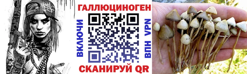 Галлюциногенные грибы Cubensis  hydra зеркало  Сковородино  закладки 